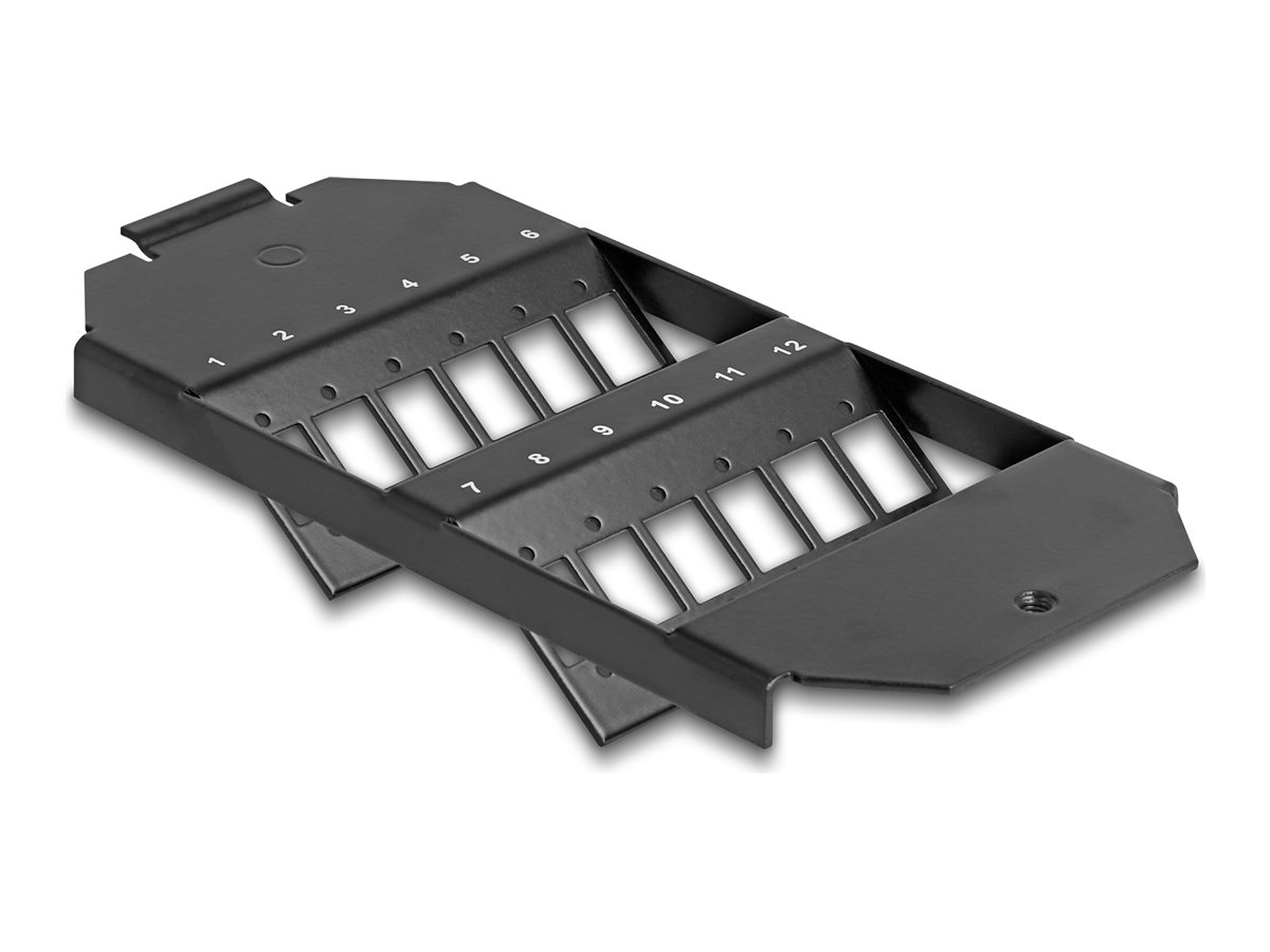 Delock Glasfaser-Patchpanel (blank) - für SC Simplex  LC Duplex Couplers