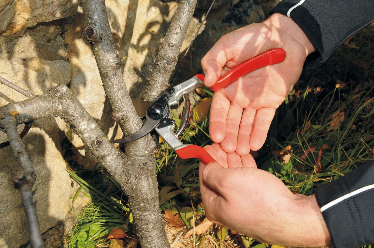 FELCO Gartenschere - geschmiedetes Aluminium / Gummi, Ansicht 2