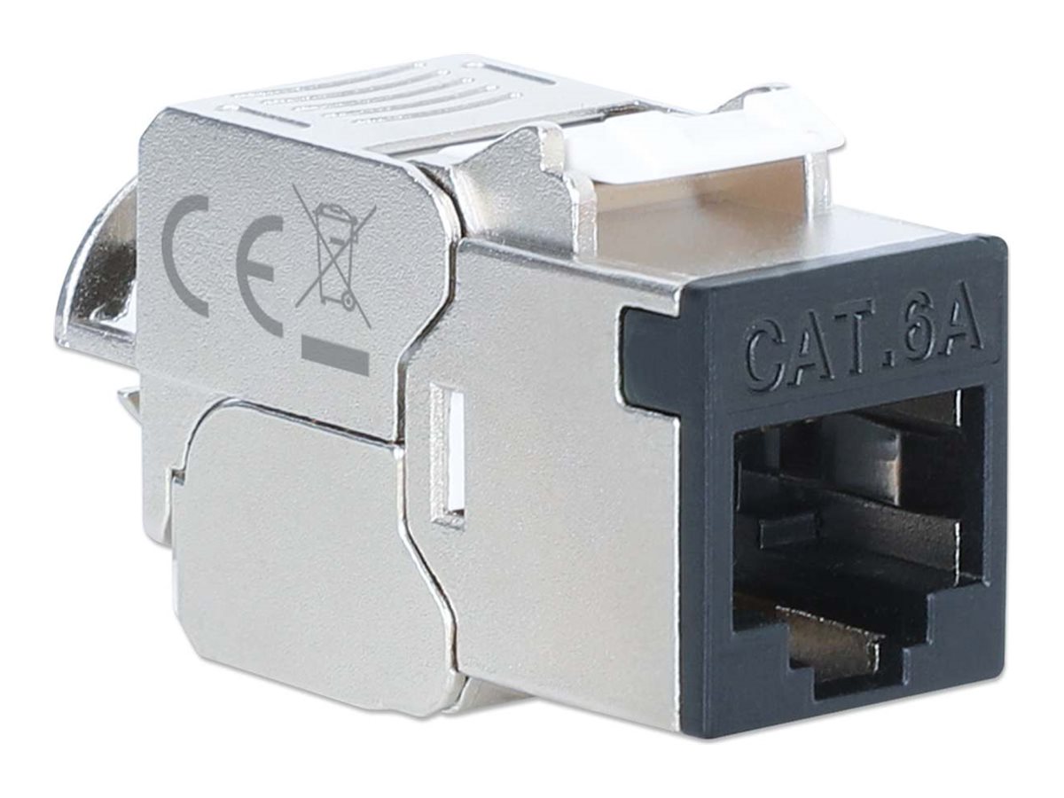 Intellinet Modulare Eingabe - slim, toolless, 10G