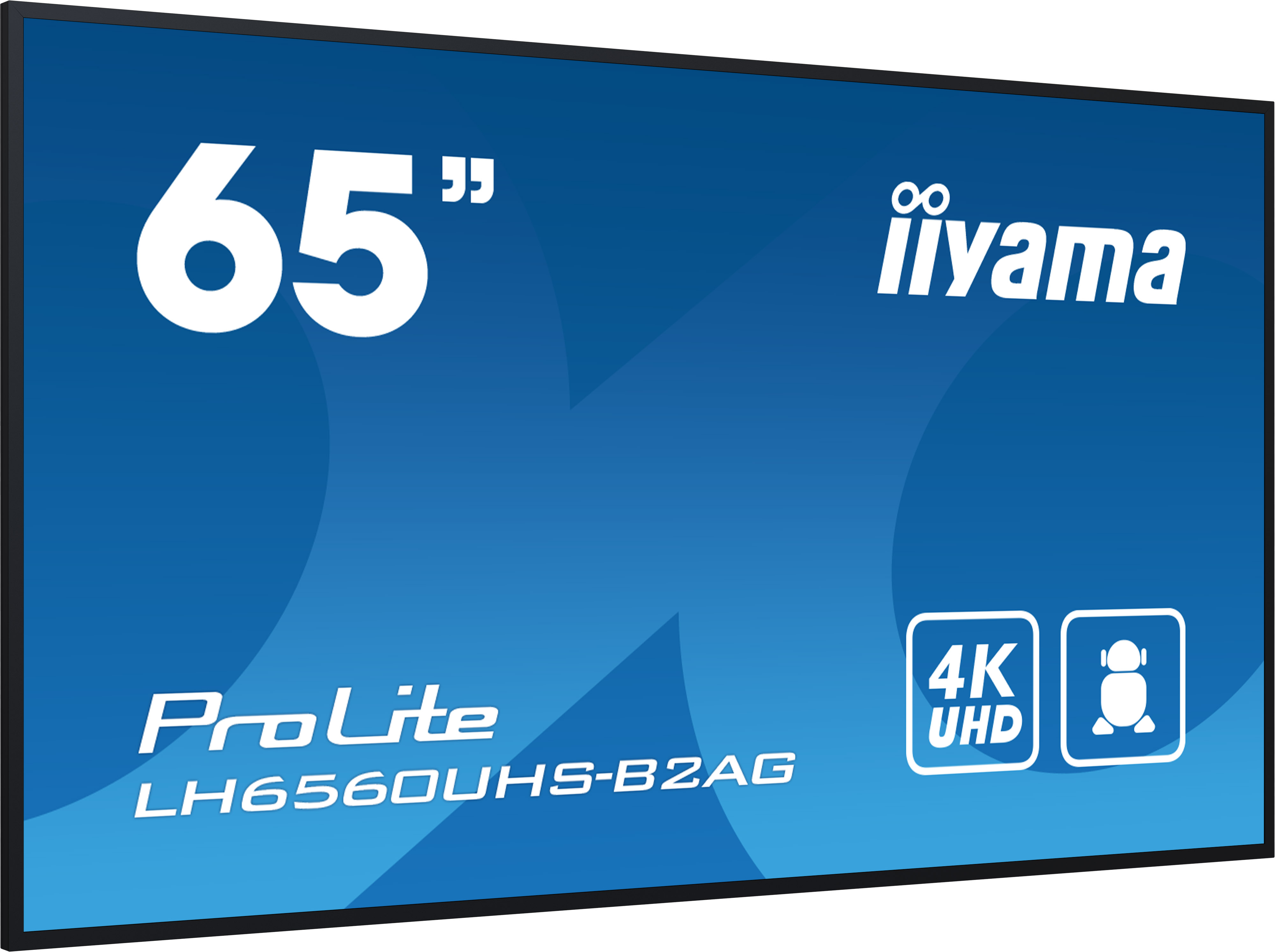 Iiyama ProLite LH6560UHS-B2AG - 165 cm (65) Diagonalklasse (164 cm (64.5), Ansicht 4