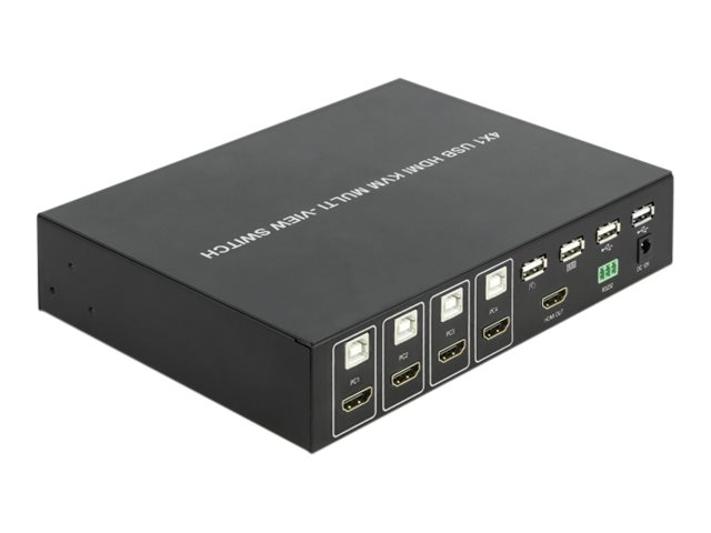 Delock 4 in 1 Multiview - KVM-Audio-USB-Switch