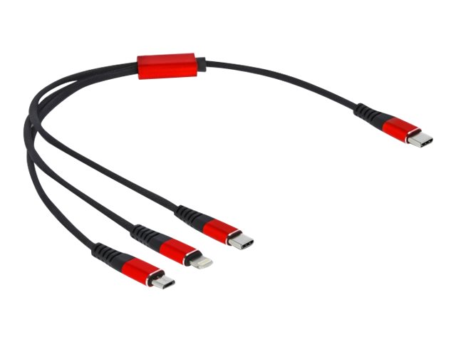 Delock 3 in 1 - Kabel nur zum Laden - USB-C männlich