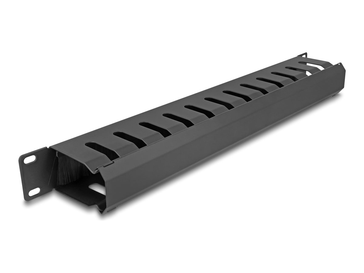 Delock Verlegetafel für Rack-Kabelmanagement - mit Bürste 2 Öffnungen - Schwarz - 1U - 48.3 cm (19)
