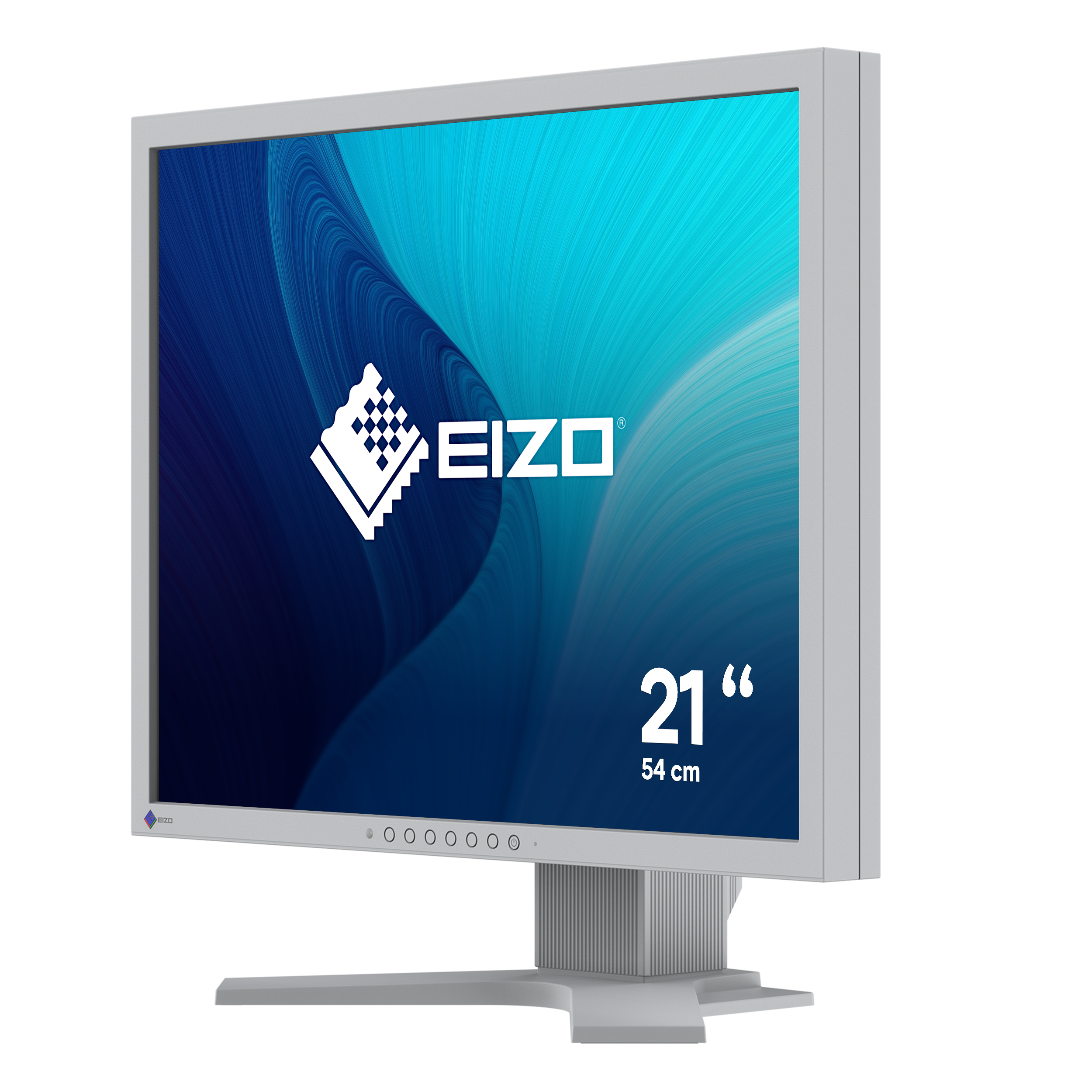 EIZO FlexScan S2134-GY - LED-Monitor - 54 cm (21.3")