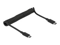 Delock USB 3.1 Gen 2 Coiled Cable Type-C male