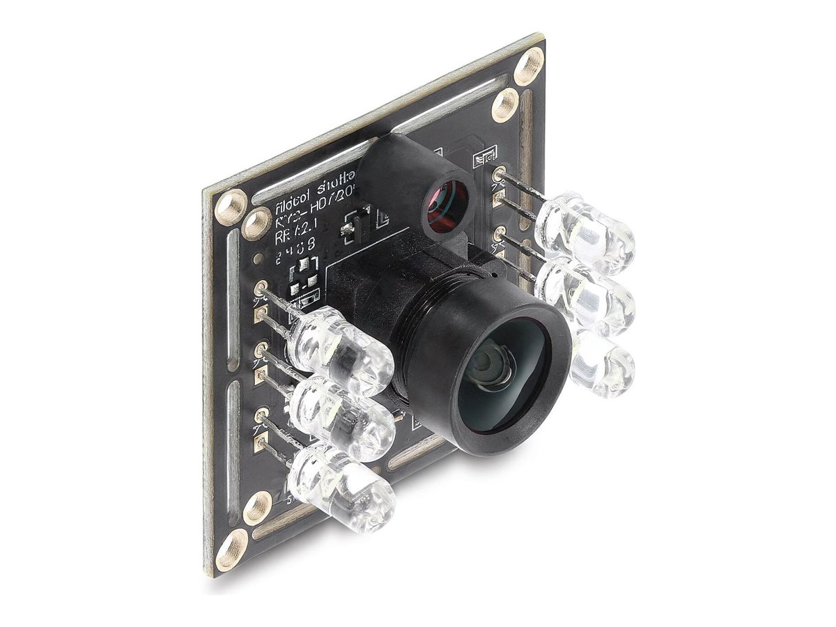 Delock Überwachungskamera - Karte - S/W - 0,92 MP