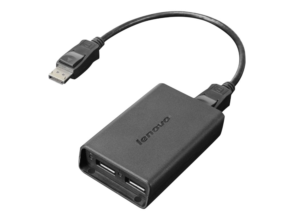 Lenovo DisplayPort-Adapter - DisplayPort M bis DisplayPort W (0B47092)