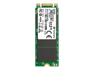 Transcend MTS600S - SSD - 256 GB - intern - M.2 2260