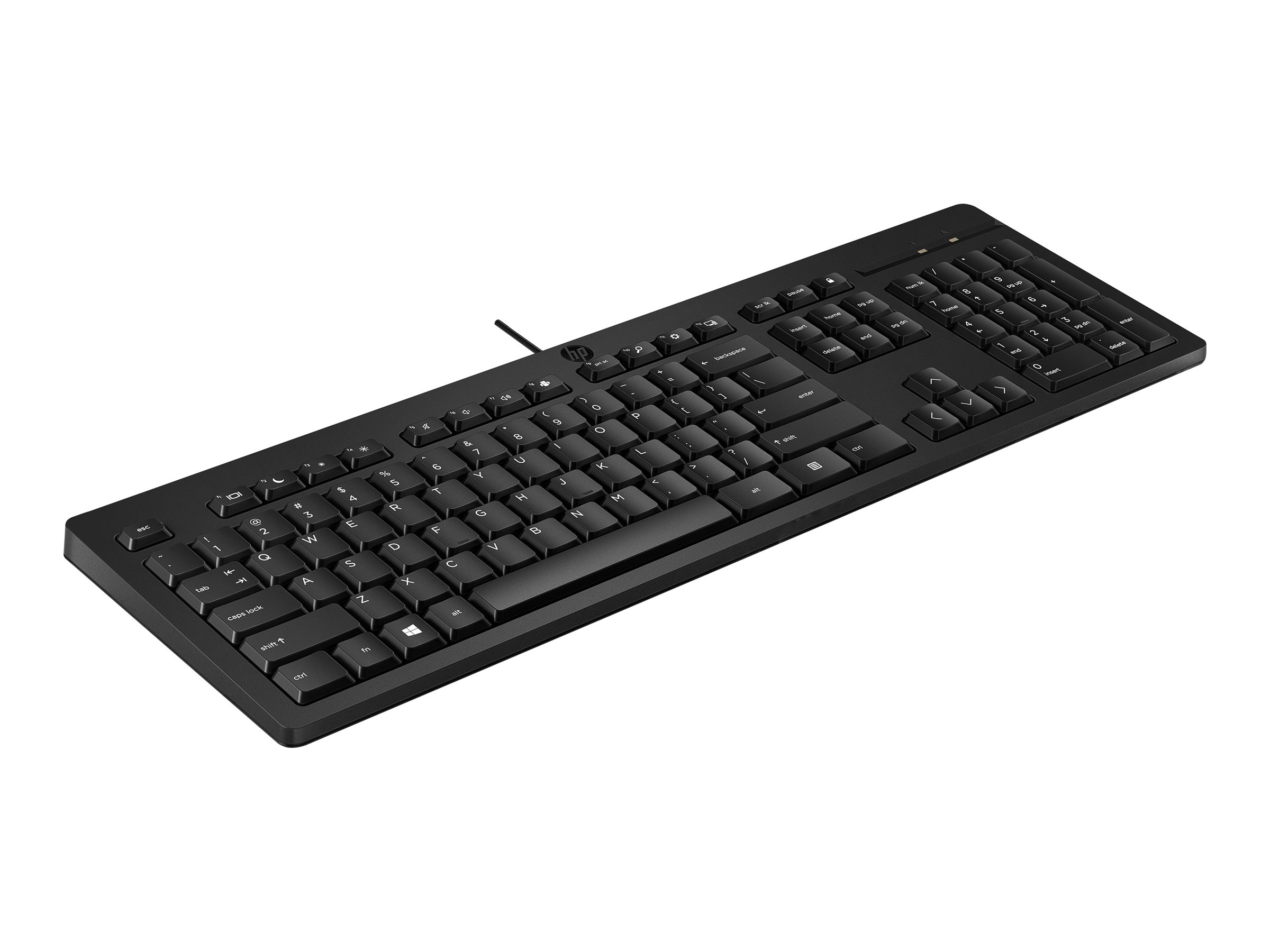 HP 125 - Tastatur - USB - TL: Ukrainisch, QWERTY, Ansicht 5