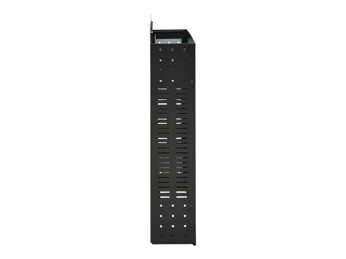 Tripp Eaton Tripp Lite Series SmartRack 2U Low-Profile Vertical-Mount Vented Wall-Mount Mini Rack Enclosure Black - Schrank für Rack-Gehäuse - geeignet für Wandmontage - Schwarz - 2U - 49.27 cm (19.4)