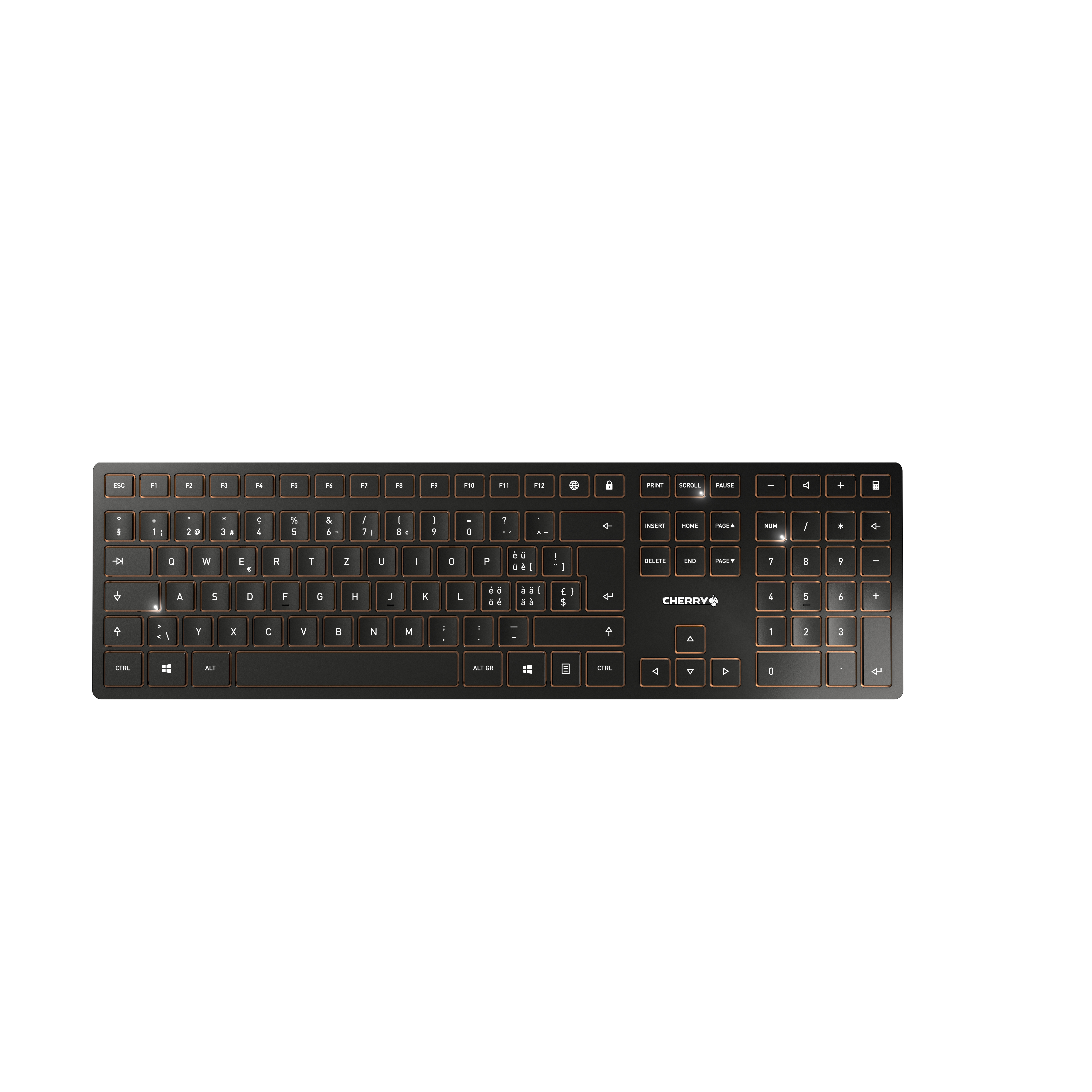 Cherry DW 9100 SLIM - Tastatur-und-Maus-Set - kabellos - TL: Schweiz, QWERTZ, Ansicht 3