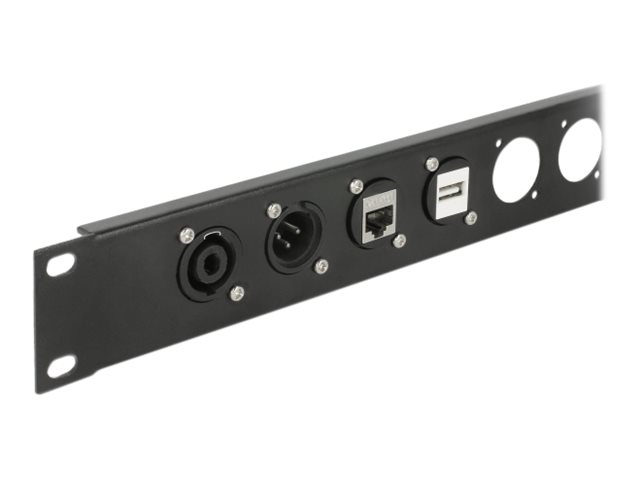 Delock D-Type Module RJ45 Cat.6 jack to jack