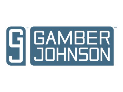 Panasonic Gamber-Johnson Vehicle Dock - Dual RF - Dockingstation