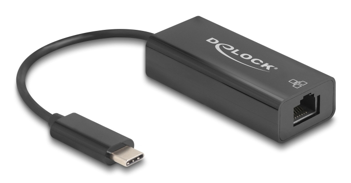 Delock USB 2.0 Type-C Adapter zu 10/100 Mbps LAN, Ansicht 2
