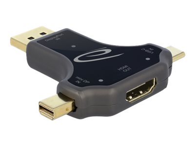 Delock Videoadapter - 24 pin USB-C Mini DisplayPort DisplayPort männlich zu HDMI weiblich