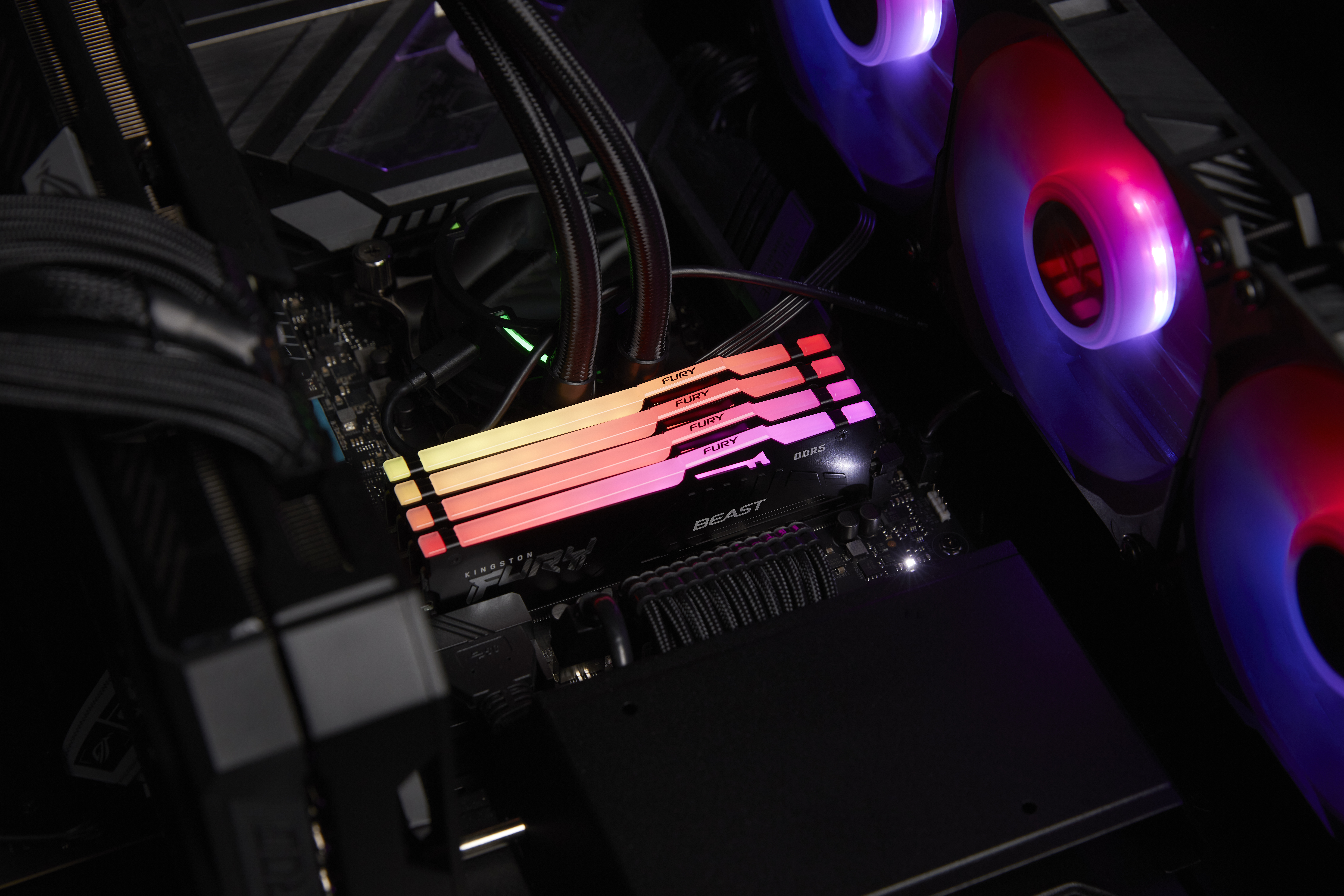 Kingston FURY Beast RGB - DDR5 - Kit - 16 GB: 2 x 8 GB, Ansicht 3
