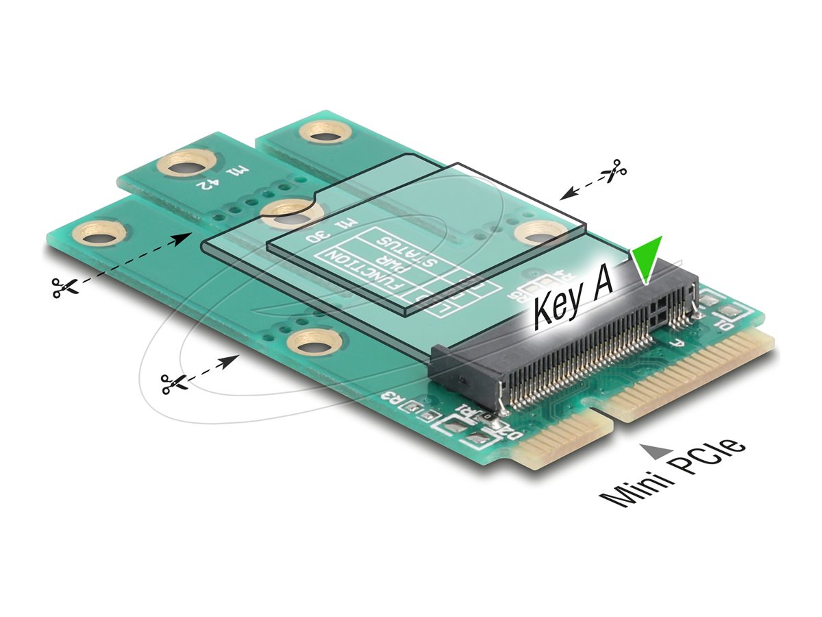Delock Schnittstellenadapter - zu M.2 Key A