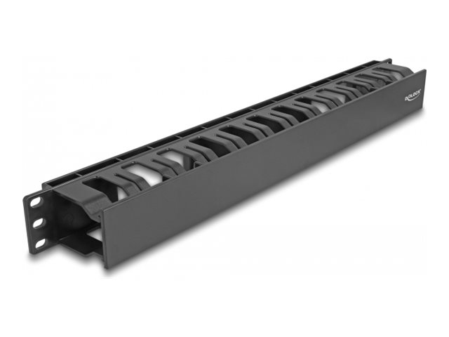 Delock Kabelführungsplatte für Schaltschrank - mit 2 Öffnungen Kunststoff - Schwarz - 1U - 48.3 cm (19)