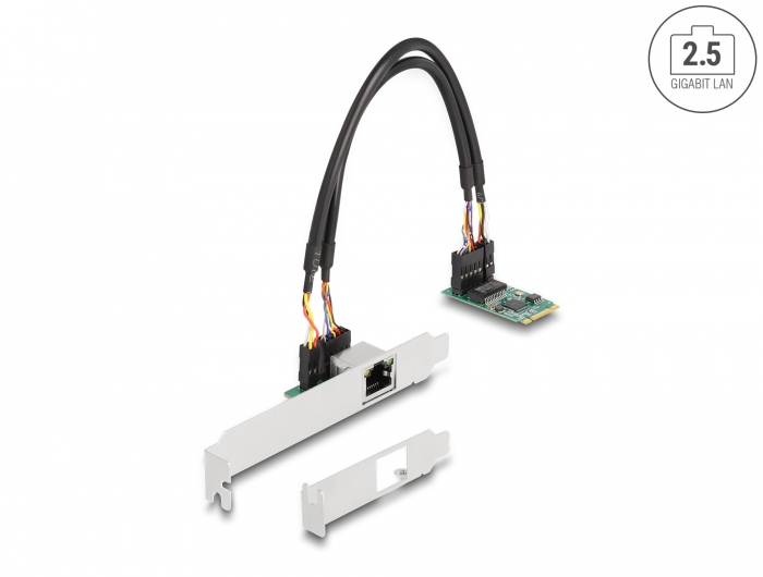 Delock Netzwerkadapter - M.2 2242 Low-Profile, Ansicht 3