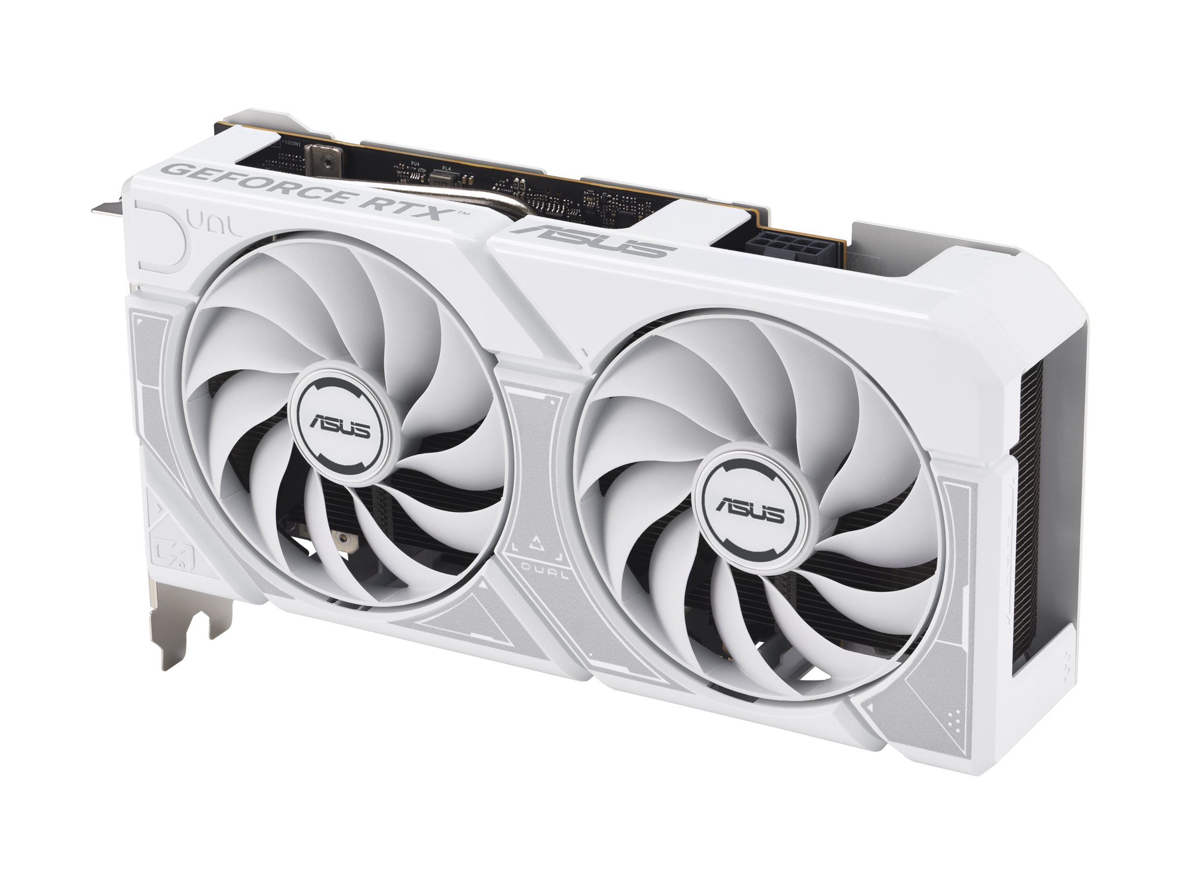 ASUS Dual - Grafikkarte - GeForce RTX 5060