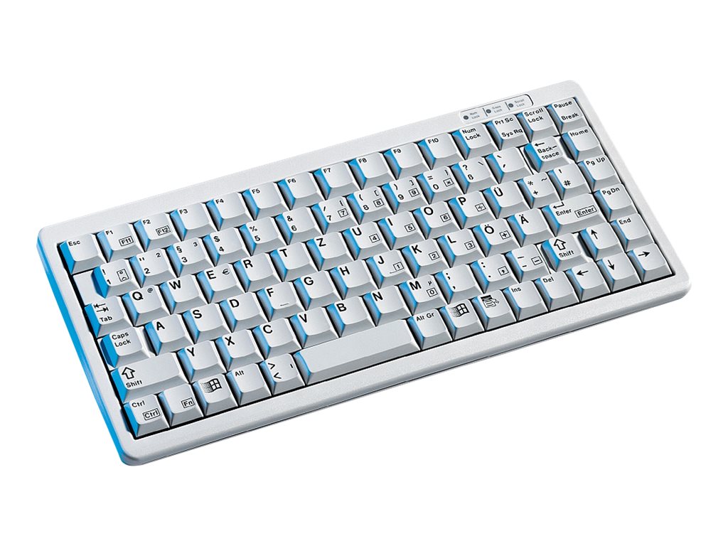 CHERRY Compact Keyboard USB grey FR (G84-4100LCMFR-0)