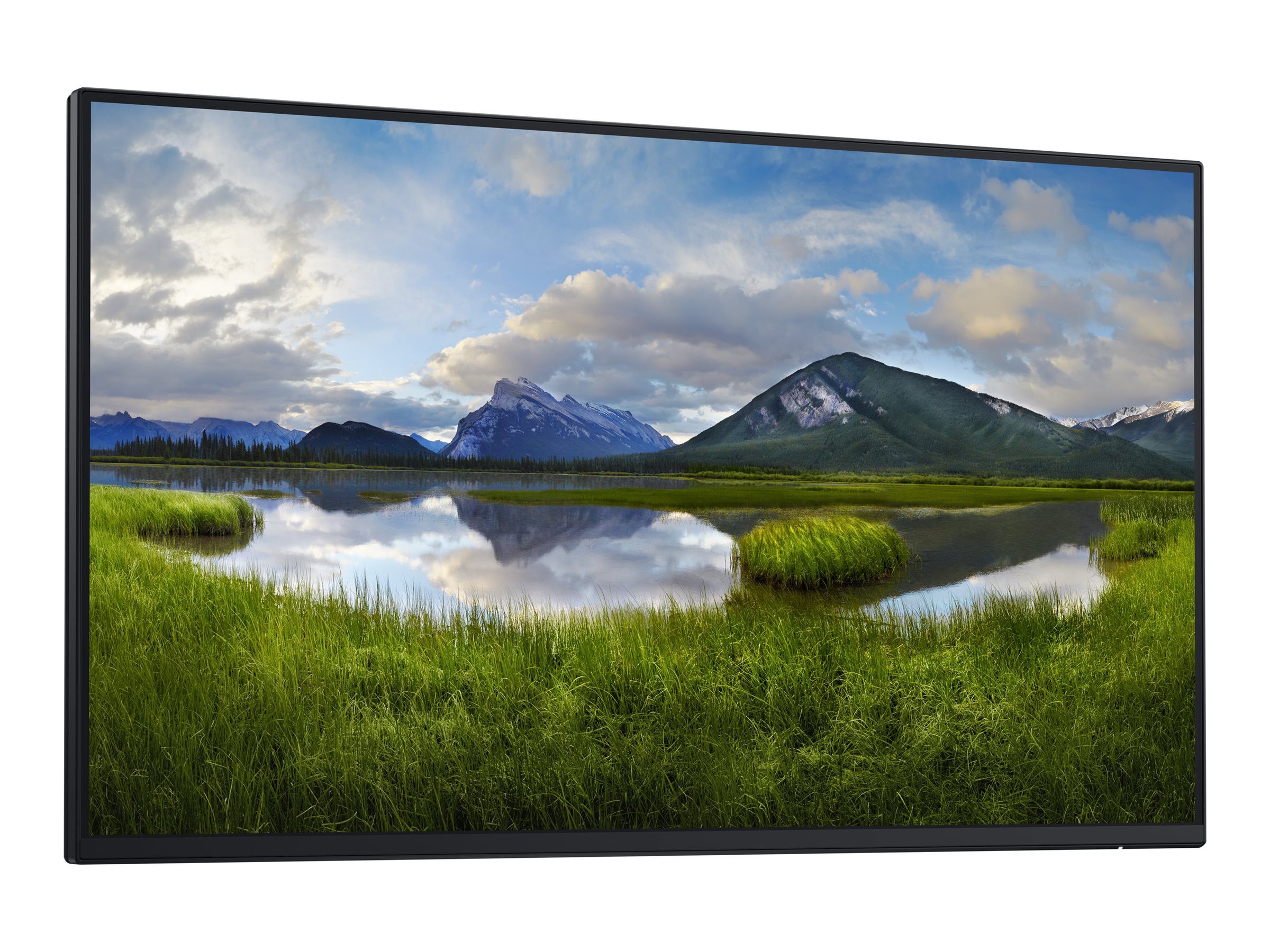 Dell P2425H - LED-Monitor - 61 cm (24") (23.81" sichtbar)