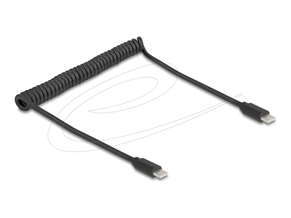 Delock USB-Kabel - 24 pin USB-C (M) zu 24 pin USB-C (M)