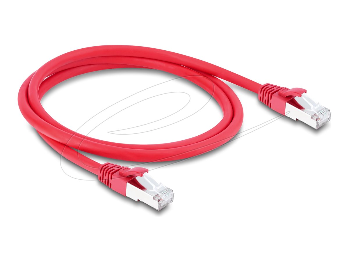 Delock Patch-Kabel - RJ-45 (M) zu RJ-45 (M)
