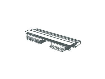 Zebra Druckkopf (Thermodirektdruck) (Packung