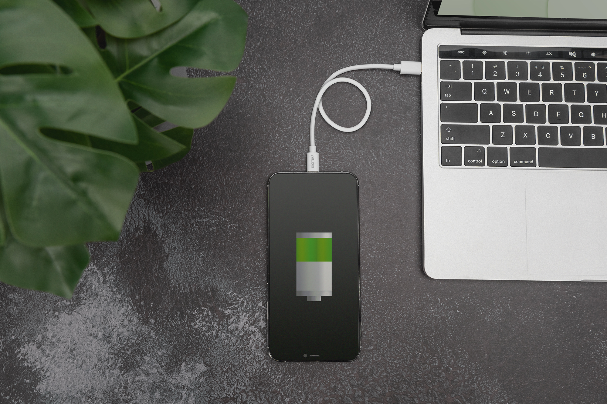 DIGITUS Lightning auf USB - C - Daten-/Ladekabel, MFI-Zertifiziert, Ansicht 3