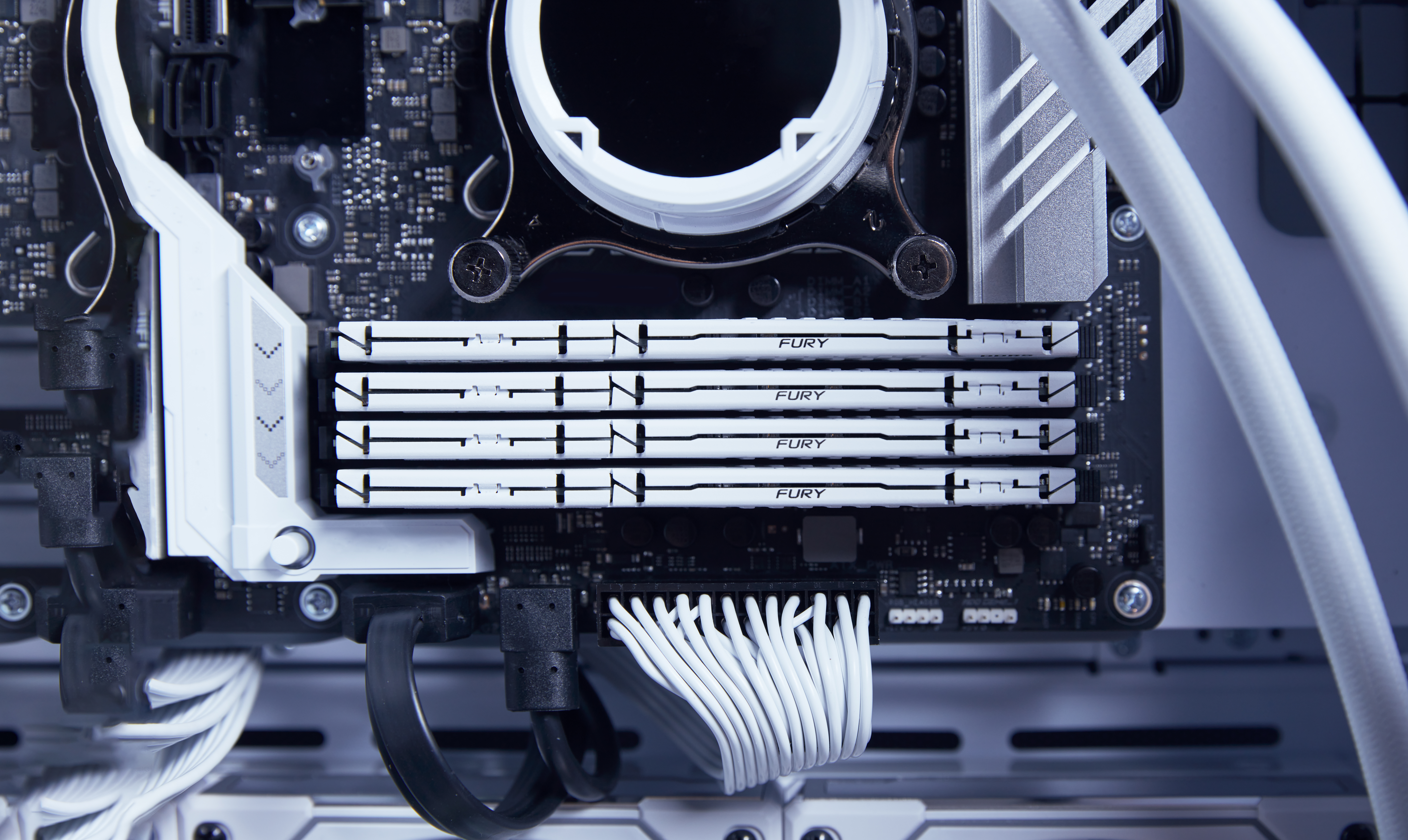Kingston FURY Beast - DDR5 - Kit - 32 GB: 2 x 16 GB, Ansicht 2
