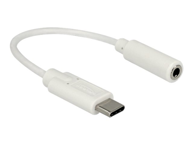 Delock Audio-Adapter - 24 pin USB-C männlich