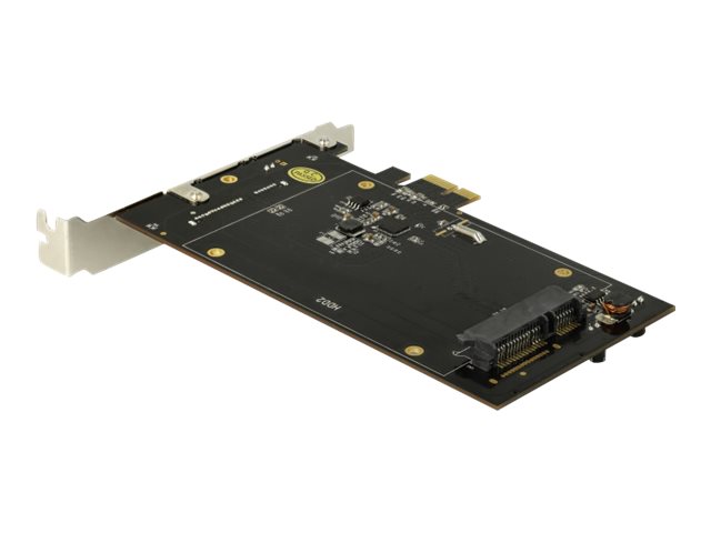 Delock PCI Express x1 Card for 2 x SATA HDD  SSD