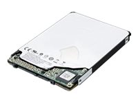 Lenovo Festplatte - 2 TB - intern - 2.5 (6.4 cm)