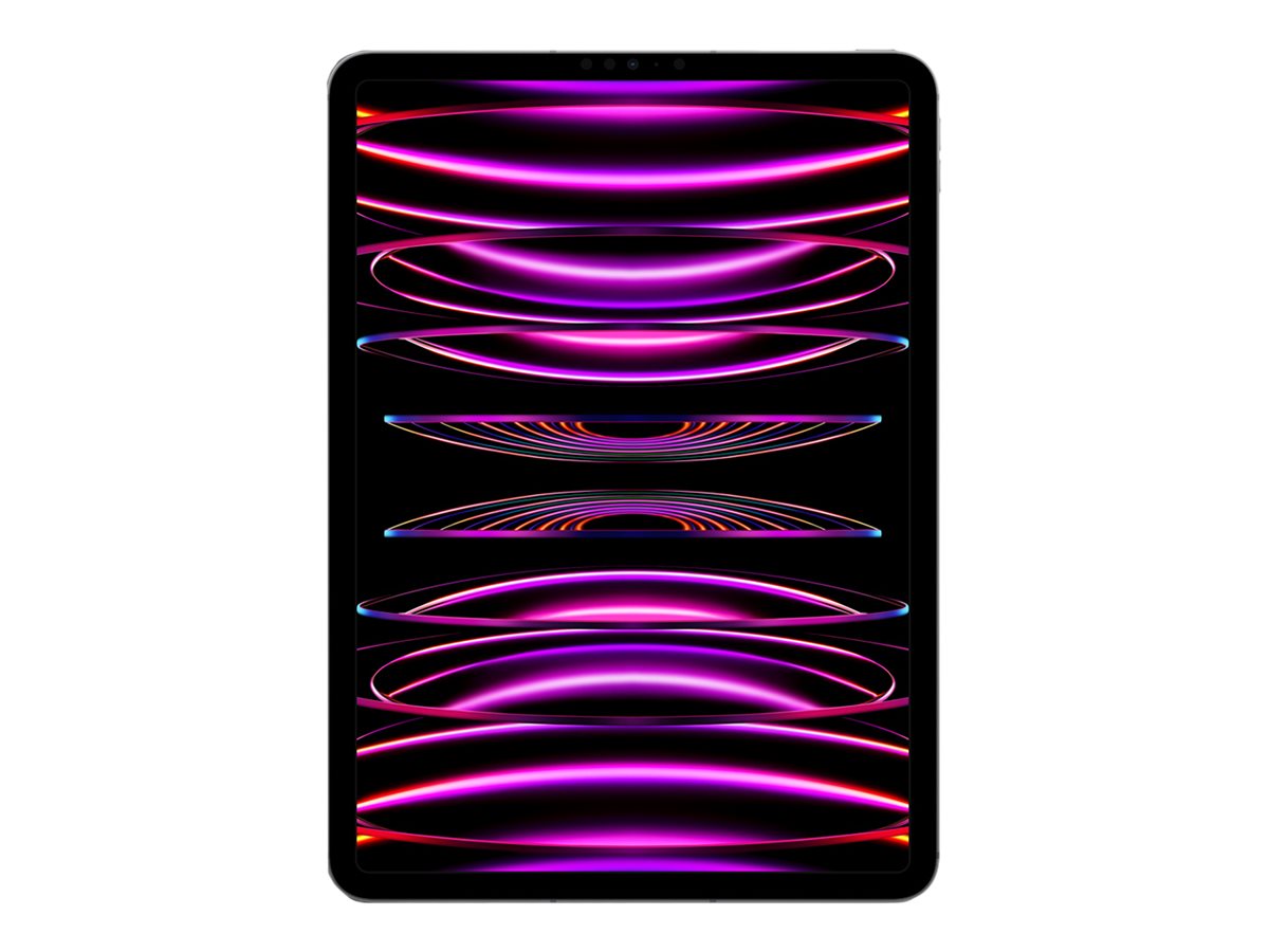 APPLE iPad Pro 11,0 - 1TB Cell Gray (MNYJ3FD/A)