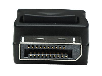 Techly DisplayPort-Kabel - DisplayPort (M), Ansicht 2