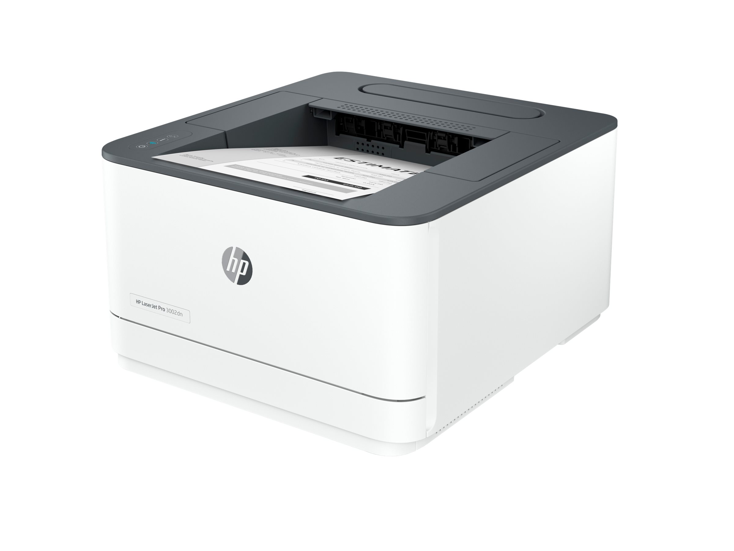 HP LaserJet Pro 3002dn - Drucker - s/w - Duplex