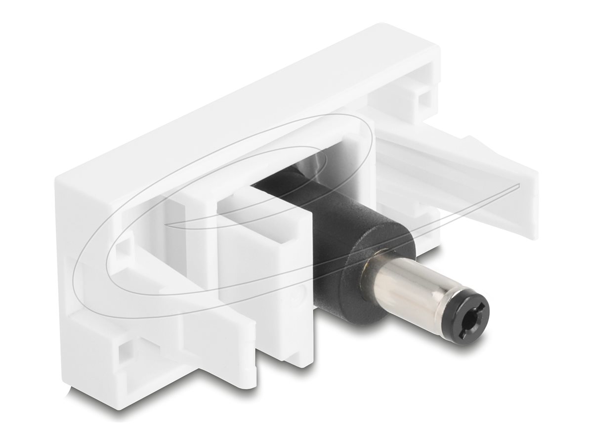 Delock Netzteil - Gleichstromstecker 5,5 x 2,1 mm (W)