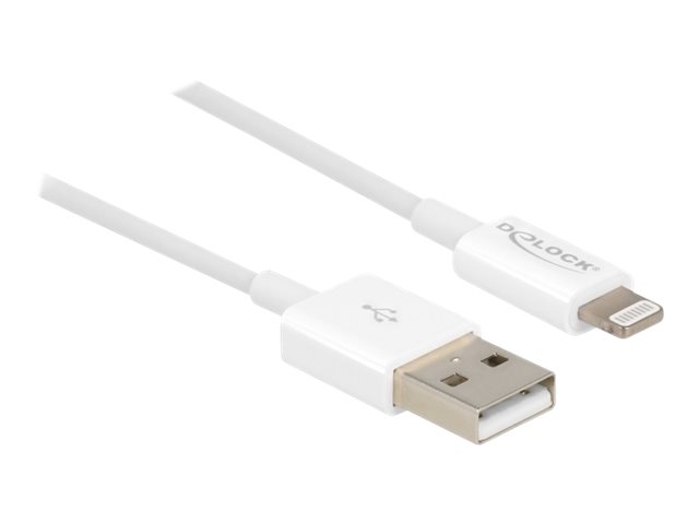 DELOCK USB Daten- und Ladekabel iPhone (83000)