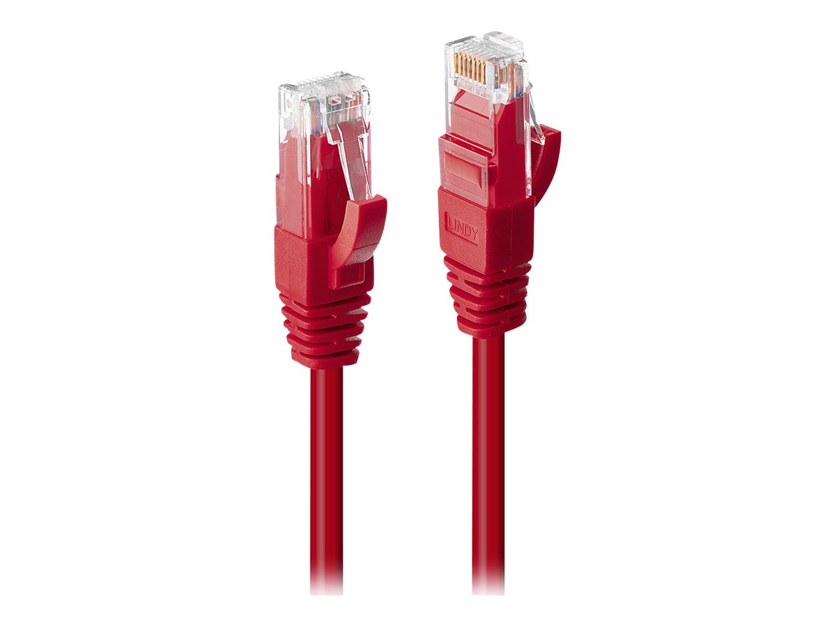 Lindy Premium - Patch-Kabel - RJ-45 (M) zu RJ-45 (M)