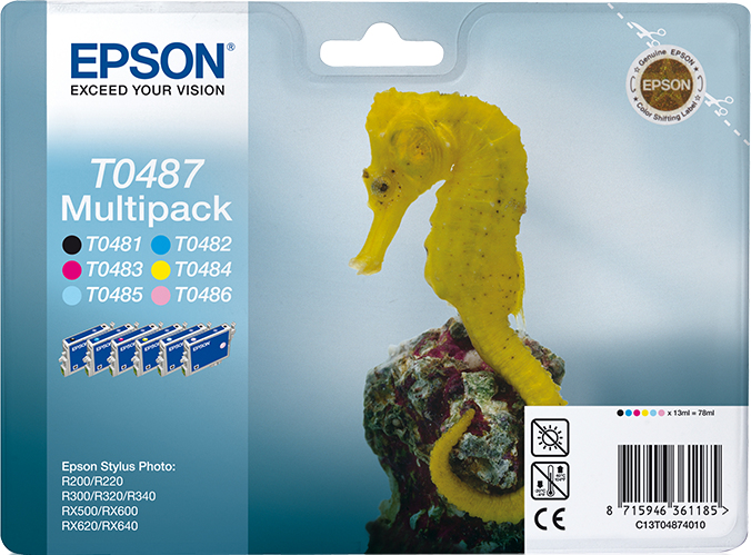 Epson C13T04874010 Epson C13T04874010