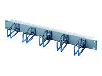 Rittal TS IT - Kabelmanagement - RAL 7035 - 1U - 48.3 cm (19)