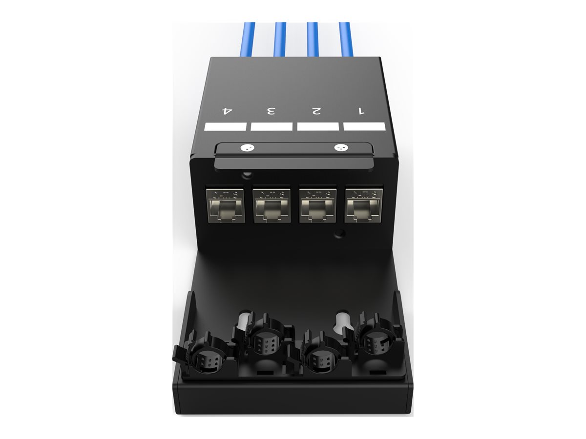 DIGITUS Konsolidierungspunkt-Box, 4 Ports Keystone-Module mit intelligentem Kabelmanager