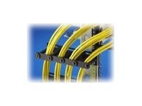Rittal DK Cable Routing Bar - Rack - Kabelführungssatz - 4U - 48.3 cm (19)