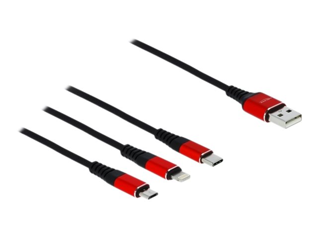 Delock 3 in 1 - Kabel nur zum Laden - USB männlich