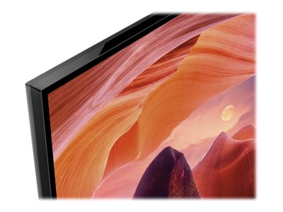 Sony Bravia Professional Displays FWD-65X80L - 164 cm (65)