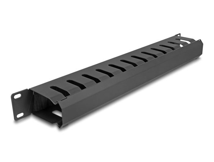 Delock 67069 - 19'' Rangierpanel 2Öffnungen 1 HE schwarz, Ansicht 2
