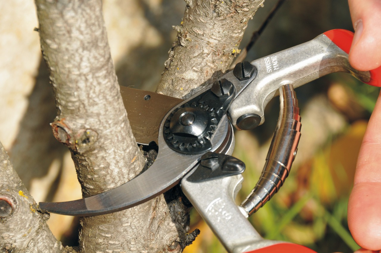 FELCO Gartenschere - geschmiedetes Aluminium / Gummi, Ansicht 3