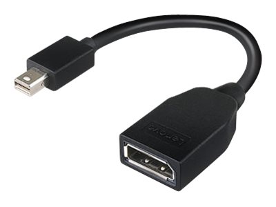 Lenovo - DisplayPort-Adapter - Mini DisplayPort (M) zu DisplayPort (W) - 17.6 cm - für ThinkCentre M70; M80; M90; ThinkStation P330; P330 Gen 2; P34X; P350; P520; P620