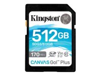 Canvas Go! Plus - Flash-Speicherkarte - 512 GB